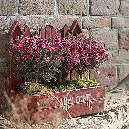 2K公布《WWE 2K22》10大特色 重新设计游戏引擎